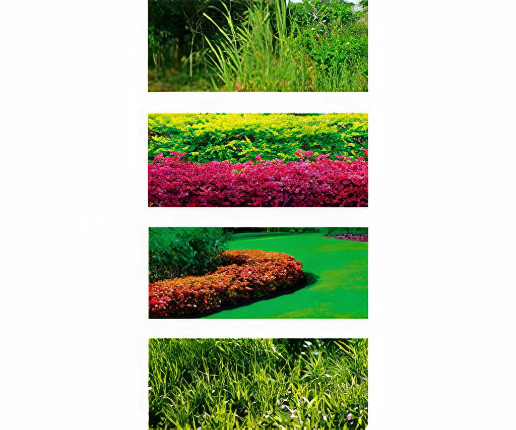 Fast Mower by Rotorazer a 79,99€